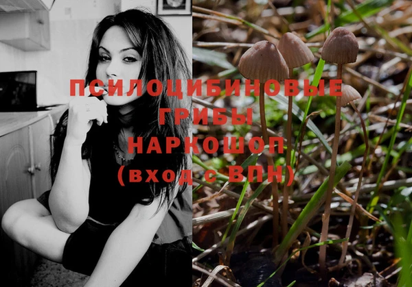 Альфа ПВП Алексин