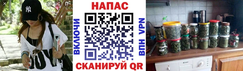 Бошки марихуана White Widow  Новоузенск 